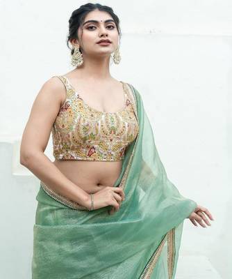 Woven Design Banarsi Sleeveless Padded Saree Blouse 2