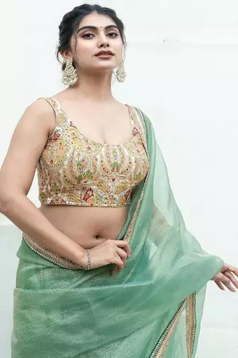 Woven Design Banarsi Sleeveless Padded Saree Blouse