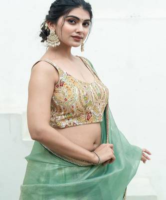 Woven Design Banarsi Sleeveless Padded Saree Blouse 3