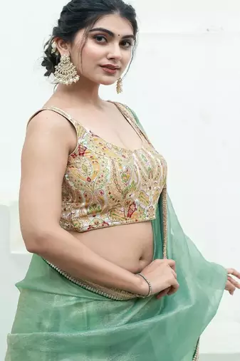 Woven Design Banarsi Sleeveless Padded Saree Blouse