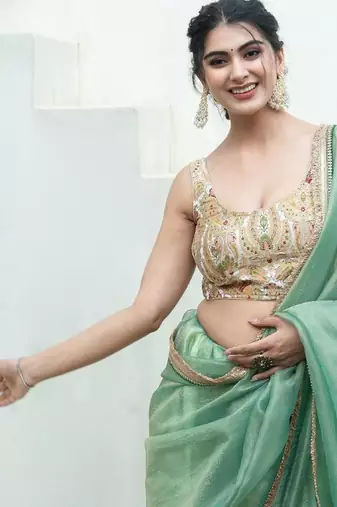 Woven Design Banarsi Sleeveless Padded Saree Blouse