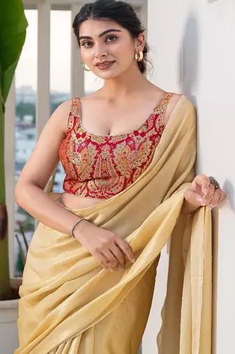 Woven Design Saree Blouse