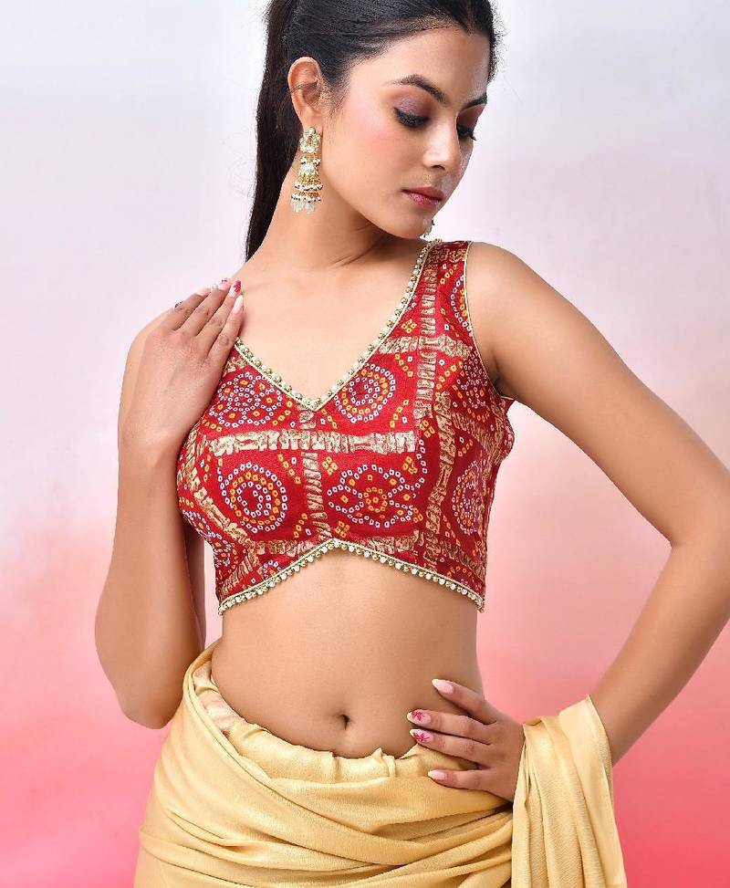 Printed V Neck Saree Blouse