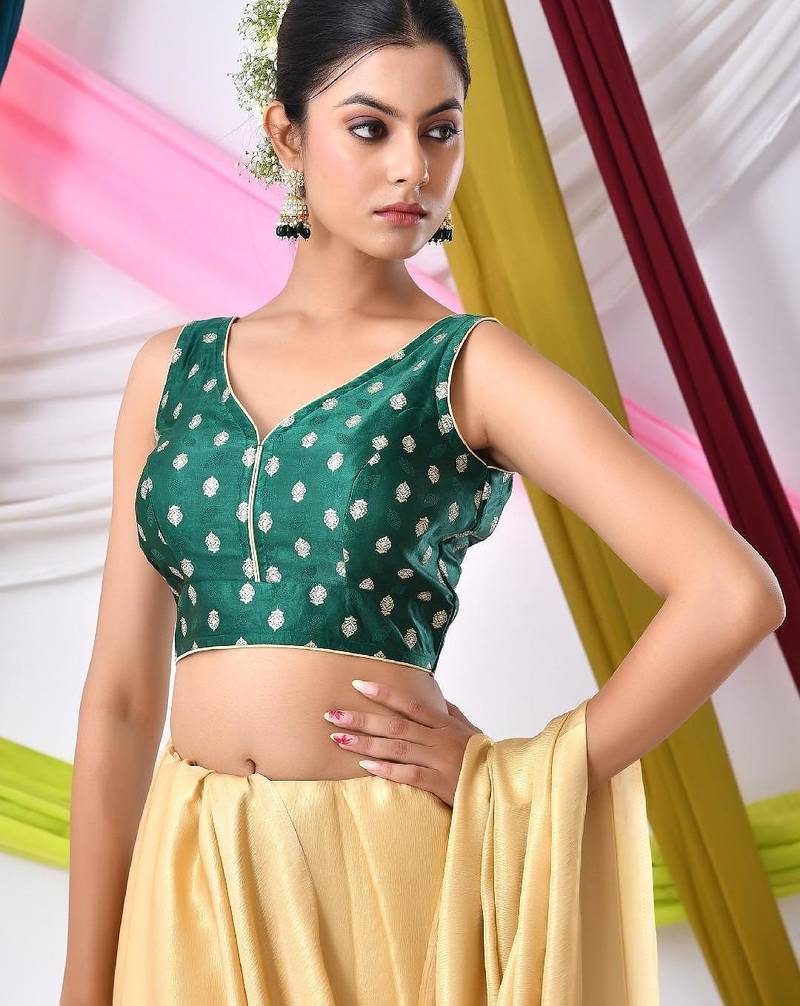 Woven Designed Sleeveless Embossed V Neck Saree Blouse