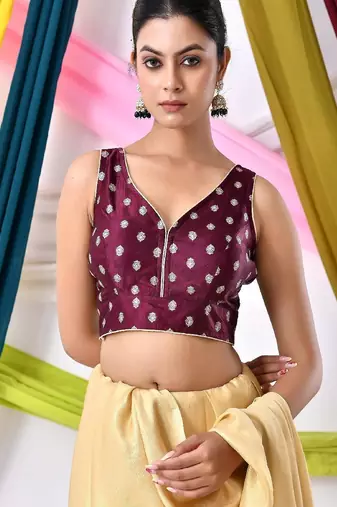 Woven Designed Saree Blouse