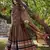 Brown Chanderi Plain Chaniya Choli with Rich Zari Weaving - Full Stitched Free Size