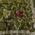green color embroidered space silk blend saree