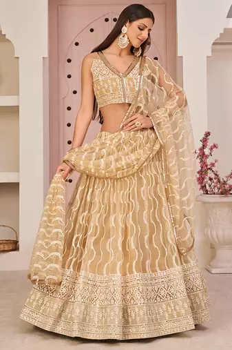 Beige Thread & Sequins Embroidery Work Net Lehenga