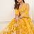 Mustard  Thread & Sequins Embroidery Work Net Lehenga