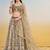 Brown Thread & Sequins Embroidery Work Net Lehenga
