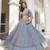 Sky Blue Thread & Sequins Embroidery Work Net Lehenga