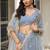 Sky Blue Thread & Sequins Embroidery Work Net Lehenga