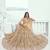 Beige Thread & Sequins Embroidery Work Net Lehenga