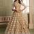 Beige Thread & Sequins Embroidery Work Net Lehenga