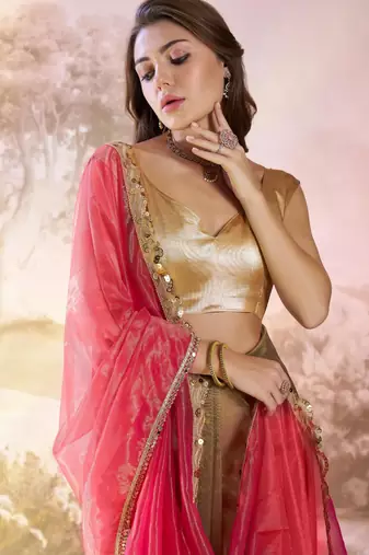 Pink and brown designer lace organza saree with blouse