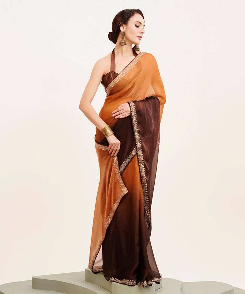 Brown ombre dyed beads and stone embellished saree with blouse