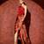 Red printed georgette gown