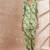 Green color floral printed top with trousers
