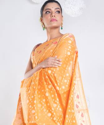 Banarasi kora organza saree in orange color with golden booti and border 2