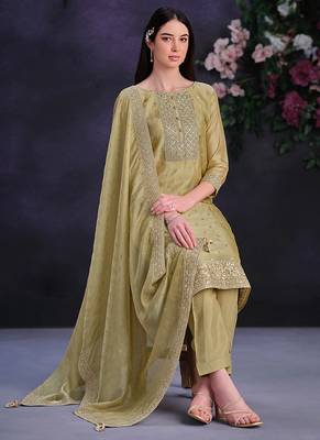 Beige embroidered & jarkan shimmer organza straight cut suits salwar kameez 2