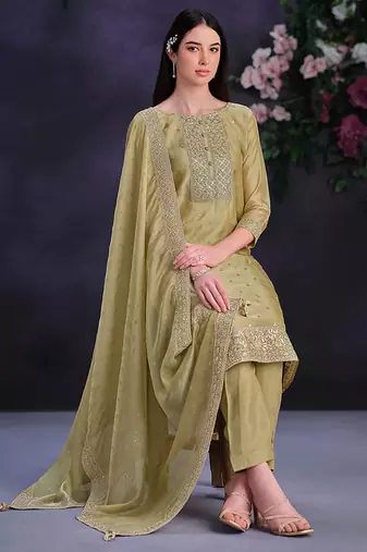Beige embroidered & jarkan shimmer organza straight cut suits salwar kameez