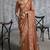 Brown premium tissue zari resham thread embroidery with pearls, mirror work stone work saree with blouse