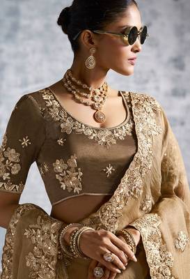 Beige premium tissue zari resham thread embroidery with pearls, mirror work stone work saree with blouse 2
