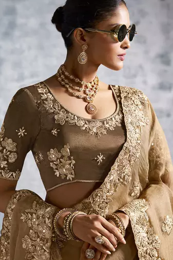 Beige premium tissue zari resham thread embroidery with pearls, mirror work stone work saree with blouse