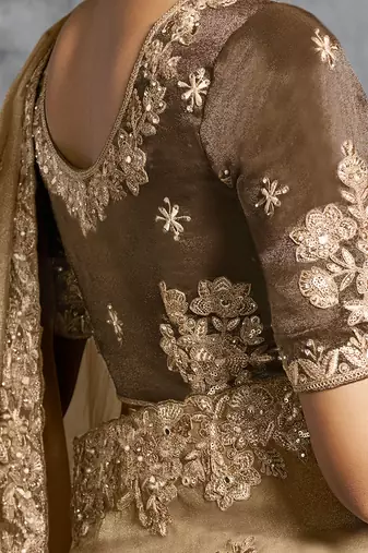 Beige premium tissue zari resham thread embroidery with pearls, mirror work stone work saree with blouse