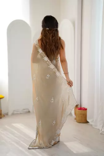 beige chiffon graceful embroidered saree