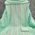 Pastel green multicolor embroidered cotton suit set