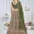 green embroidered net lehenga choli With Dupatta