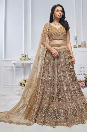 brown embroidered net lehenga choli With Dupatta