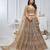 brown embroidered net lehenga choli With Dupatta
