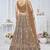 brown embroidered net lehenga choli With Dupatta