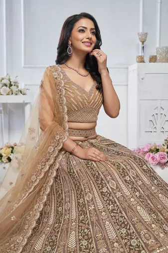 brown embroidered net lehenga choli With Dupatta