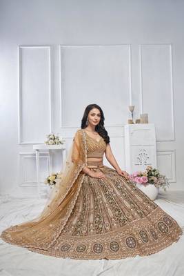 brown embroidered net lehenga choli With Dupatta 4