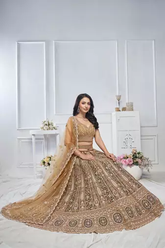 brown embroidered net lehenga choli With Dupatta