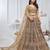 golden embroidered net lehenga choli With Dupatta