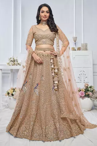 beige embroidered net lehenga choli With Dupatta