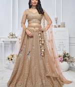 beige embroidered net lehenga choli With Dupatta