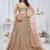beige embroidered net lehenga choli With Dupatta