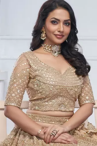 beige embroidered net lehenga choli With Dupatta