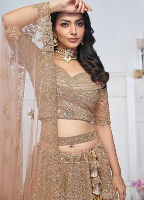 beige embroidered net lehenga choli With Dupatta 4