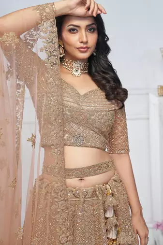 beige embroidered net lehenga choli With Dupatta