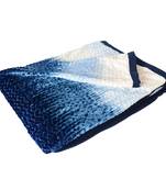 Ajanta handloom house single flannel blanket | comforter for ac/winter -white blue