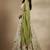 Off White Embroidery Tissue Lehenga Choli with Dupatta