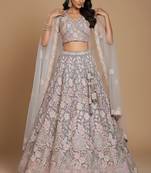 Grey Embroidery Net Lehenga Choli with Dupatta
