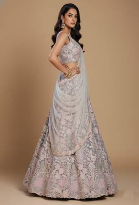 Grey Embroidery Net Lehenga Choli with Dupatta 4
