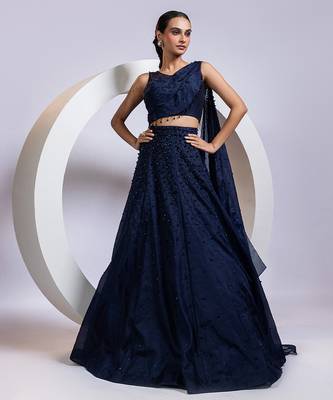 blue embroidered organza lehenga set 4